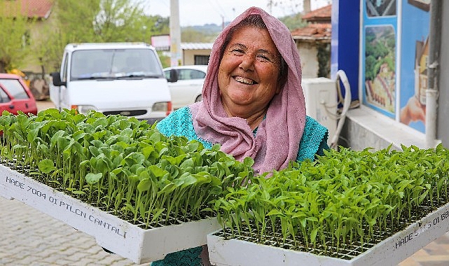 Buca’da Belediye-Kooperatif işbirliği, tarımı canlandırdı