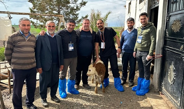 DEÜ’lü Uzmanlardan Deprem Bölgesinde Şap Virüsü Uyarıları