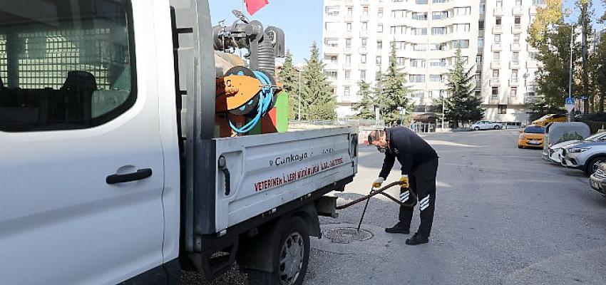 Halk Sağlığı İçin İlaçlama Çalışmalarına Devam