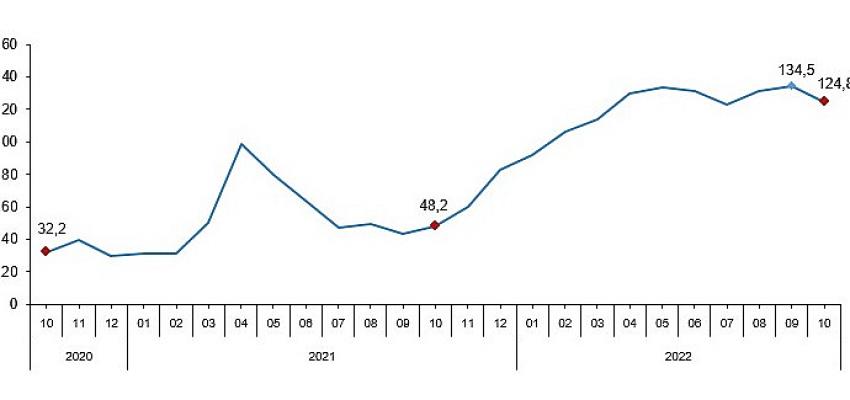 TÜİK Toplam ciro yıllık yüzde 124,8 arttı