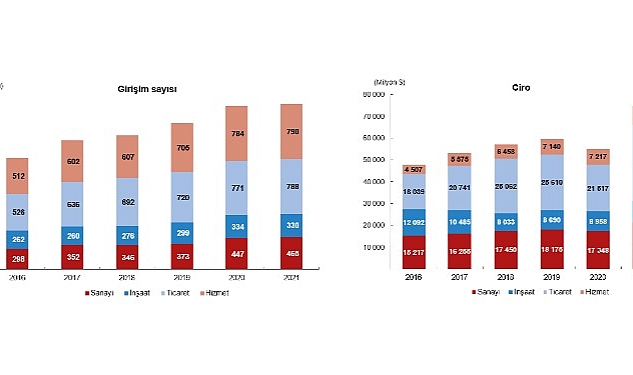 TÜİK: Yurt Dışında Kontrol Edilen Girişim İstatistikleri, 2021