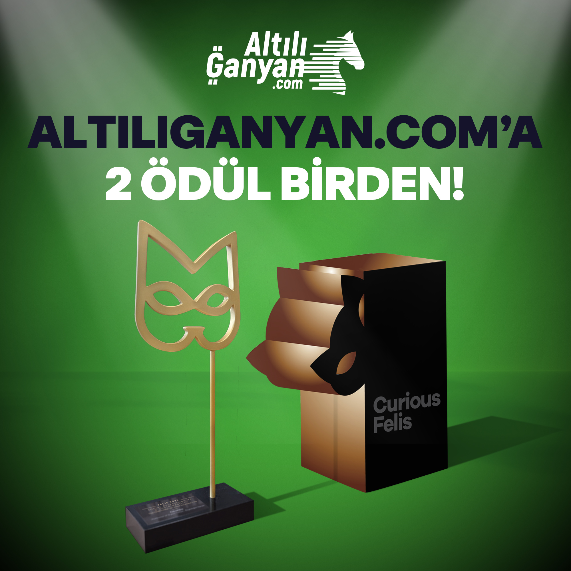 AltılıGanyan.com, Felis Ödülleri’nde iki ödüle layık görüldü