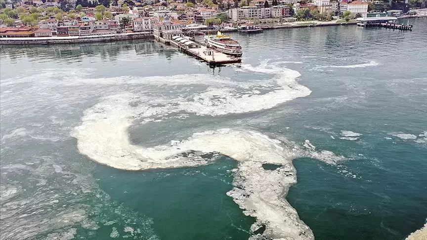 ‘Marmara Denizi ölüm çığlığı atıyor’