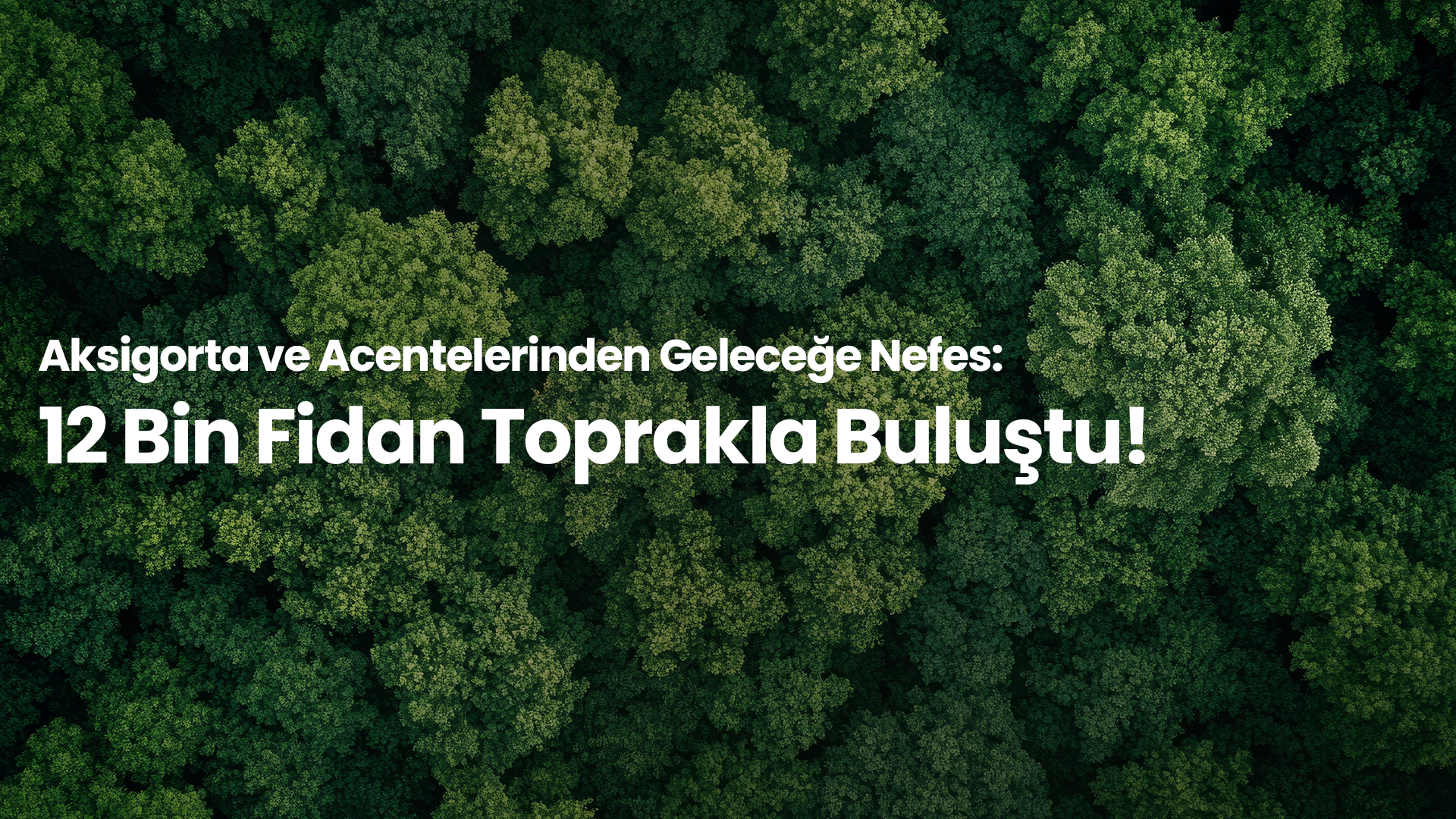 Aksigorta ve Acentelerinden Geleceğe Nefes: 12 Bin Fidan Toprakla Buluştu 