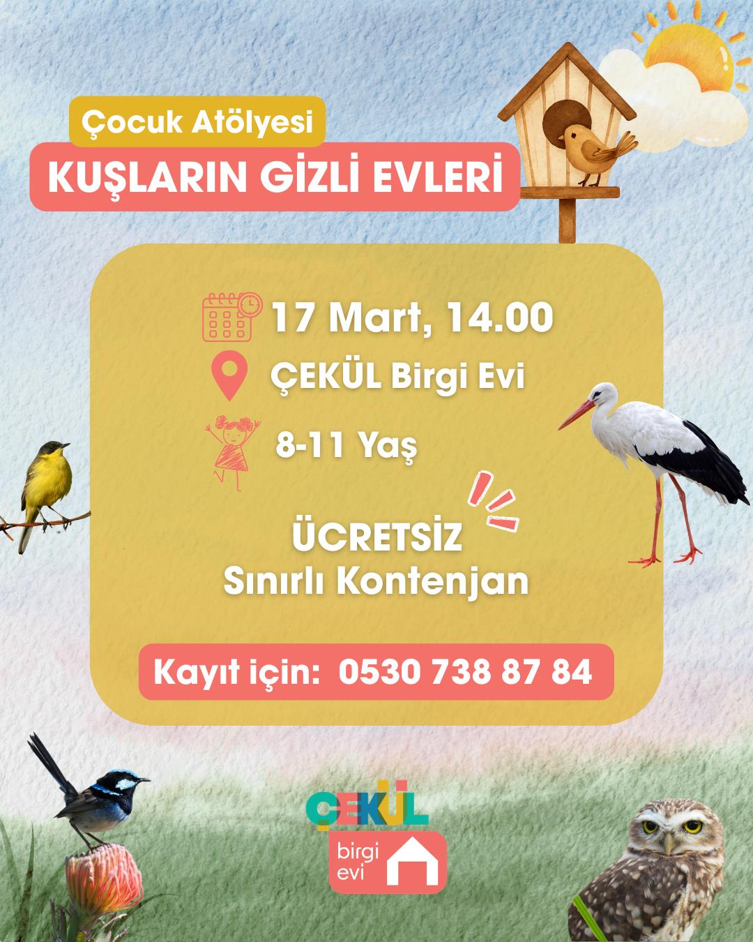 Kuşların gizli evleri