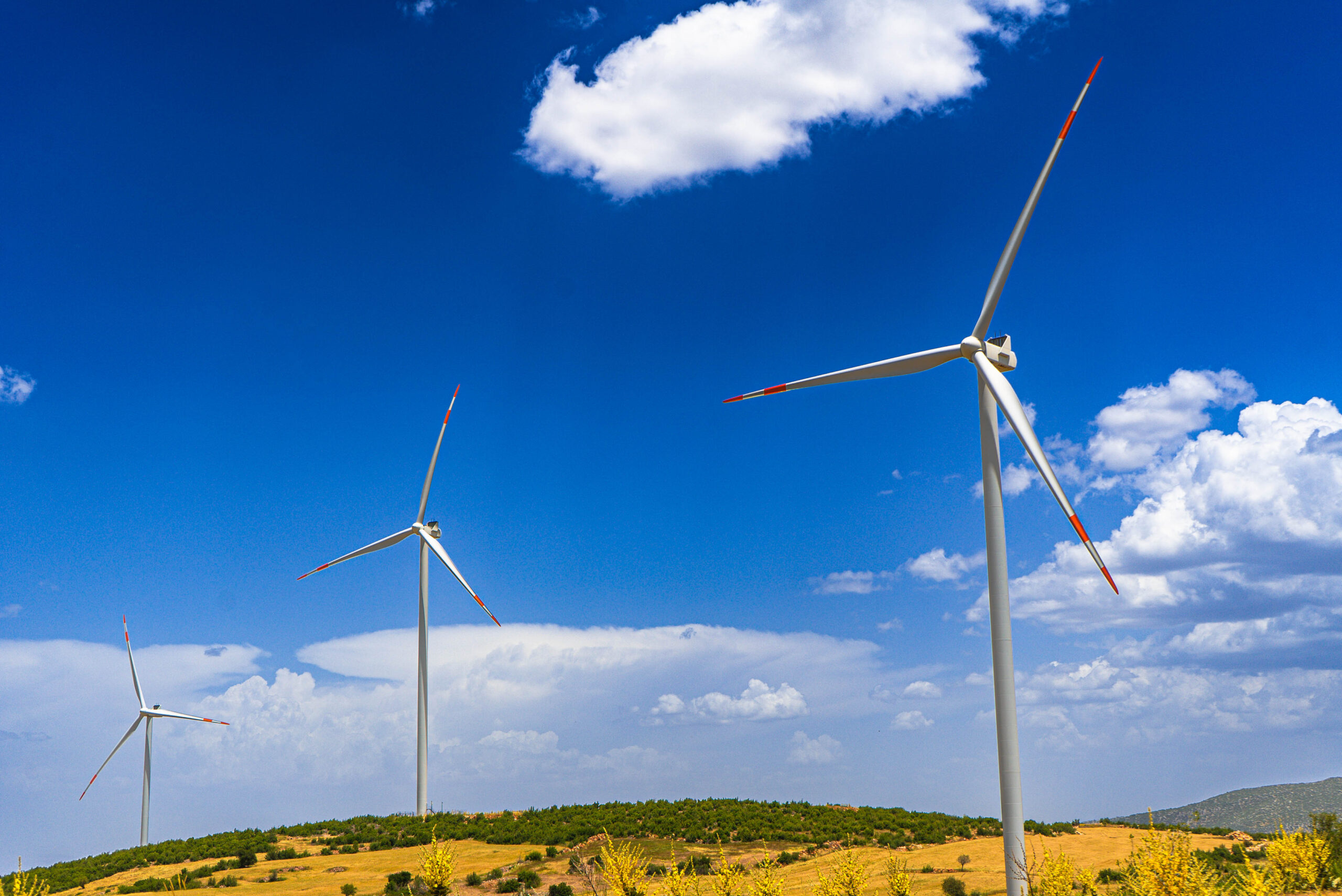 Borusan EnBW Enerji, yapay zekâ alanında küresel ağa katıldı: